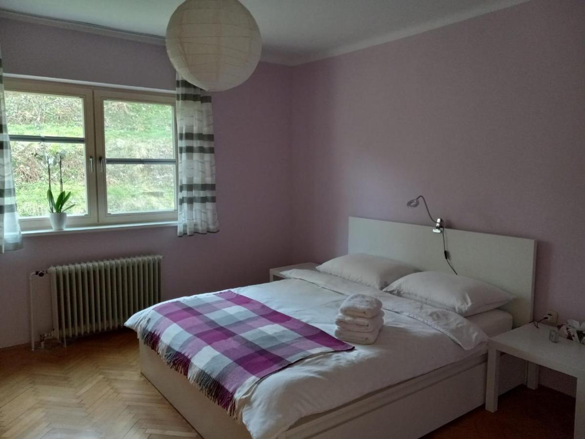 Lovely 2-Bedroom Appartment With Free Parking Dobrova Zewnętrze zdjęcie